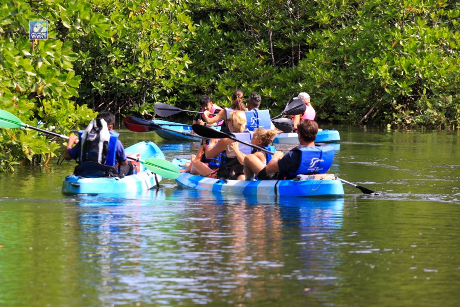 Eco-Tourism