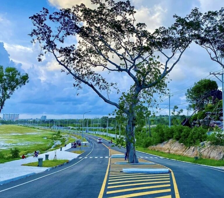 Tree Waiting for Love One