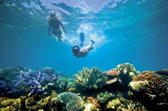 Diving & Snorkeling